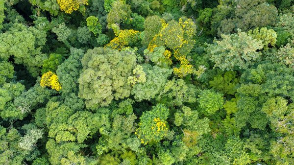 Nature et détente : découvrez le camping les plans en cévennes