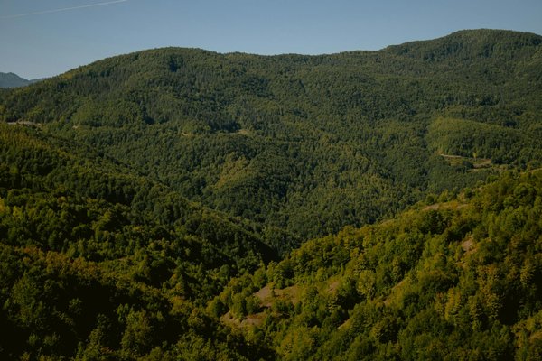 Photo écologie : quand la photographie devient un outil pour sensibiliser à l'environnement